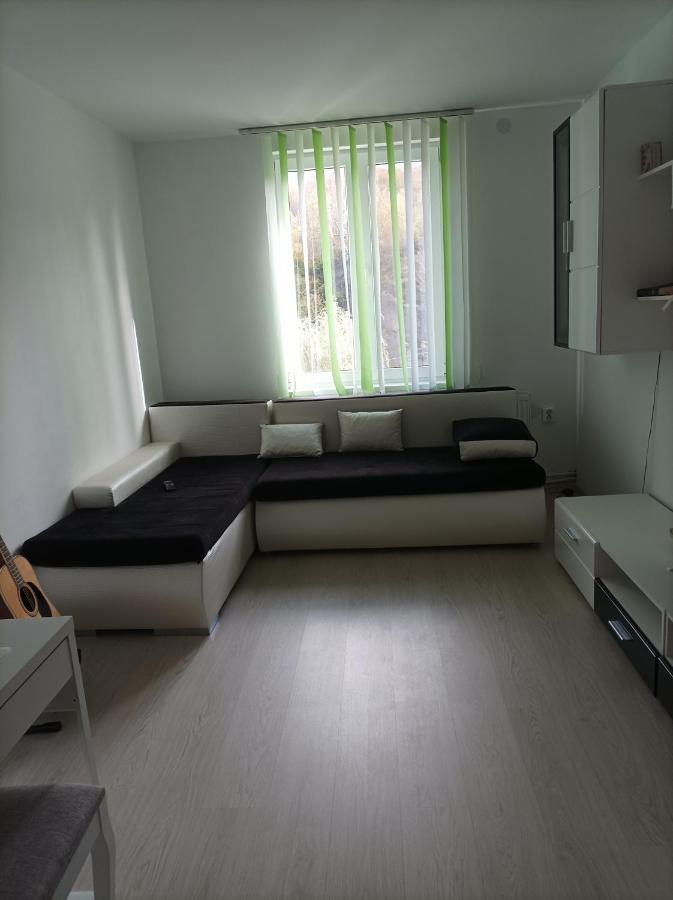 Apartament Doua Camere Uricani  Exterior photo
